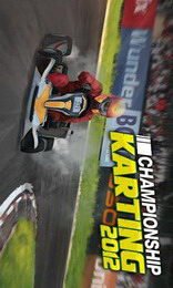 game pic for Championship Karting 2012